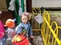 IMG 20210531 115105