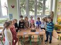 IMG 5853