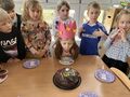 IMG 5861