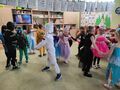 IMG 5481