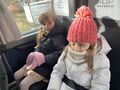 IMG 5655