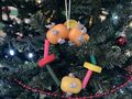 IMG 4938