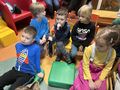 IMG 5636