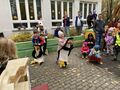IMG 4813