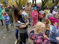 IMG 4824