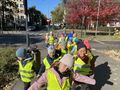 IMG 4780