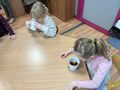 IMG 5332