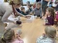 IMG 5338