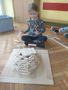 IMG 20210308 104621
